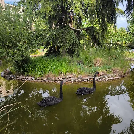 Cascadas, With A Pool View * Slăntjev Brjag