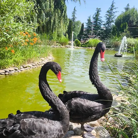 Apartman Cascadas, With A Pool View Napospart