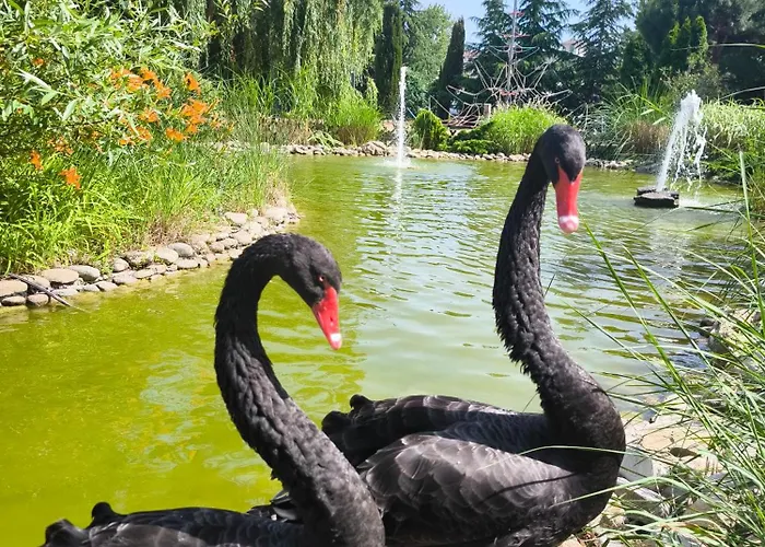 Апартамент Cascadas, With A Pool View Слънчев бряг