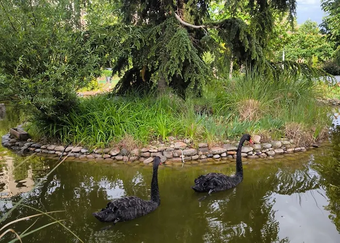 Cascadas, With A Pool View * Slantchev Briag